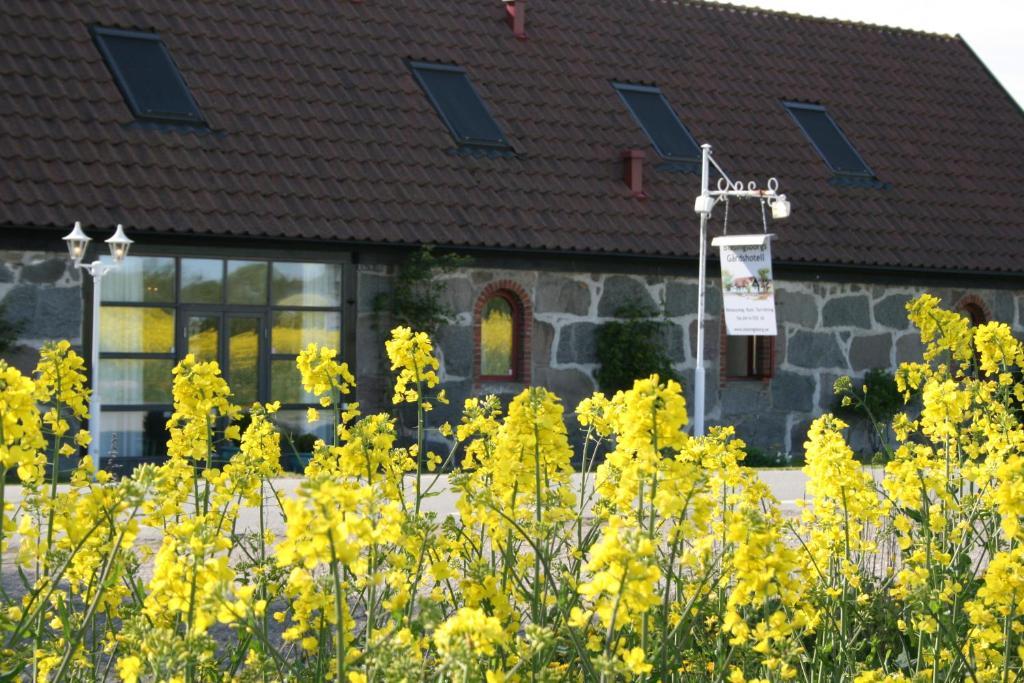 Blasingsborgs Gardshotell Kivik Dış mekan fotoğraf